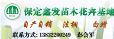 苗木資訊_花卉資訊_花木頻道