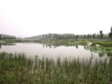 2008奧運(yùn)精品工程之奧林匹克森林公園南區(qū)2號地四標(biāo)段
