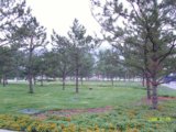 2008奧運(yùn)優(yōu)質(zhì)工程之奧林匹克森林公園中心區(qū)
