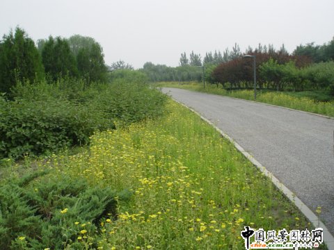 2008年奧運(yùn)精品工程奧林匹克森林公園北區(qū)