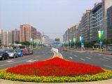 2008北京社會優(yōu)質(zhì)工程之廣渠門內(nèi)大街綠化工程