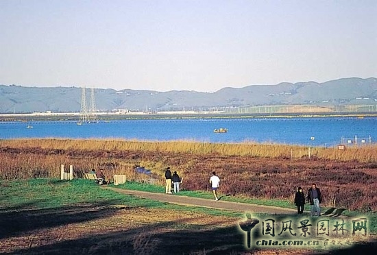 海岸線公園2