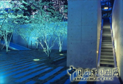 路易?揚(yáng)特基金會(huì)花園