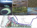 秦皇島濱海植物園和鳥類博物館設計