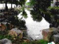談?wù)勌K州園林中的水景治理問題