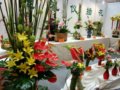 預(yù)演明年的花博會 鮮花扮靚順義農(nóng)博會(組圖)