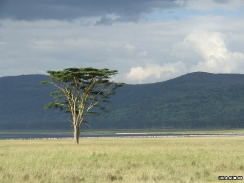 Nakuruo^(q)