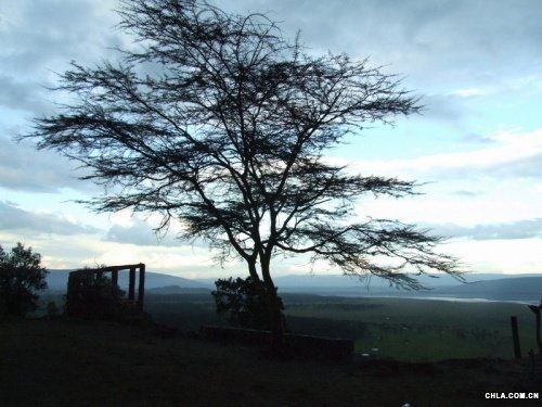 Nakuruo^(q)