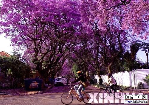 Ϸǳмs(ni)˹-ʺ֮ʢ_ޱ