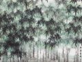 竹類在園林中的應用探討