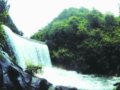 解讀《麗水市白云森林公園總體規劃》