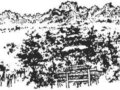 試論因山就勢