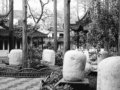改造古典園林的一種思路