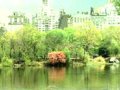 開放的城市公共活動空間??美國城市中央公園