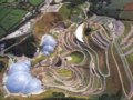 當代植物園設計的發展趨勢與變化