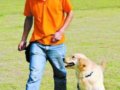 深圳社區(qū)公園將不準(zhǔn)寵物入內(nèi) 養(yǎng)狗者叫苦(圖)