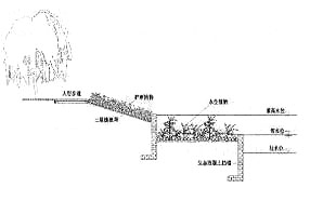 ʽBo