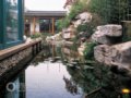 空中花園 咫尺之內(nèi)再造乾坤