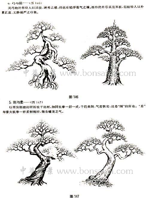 辰