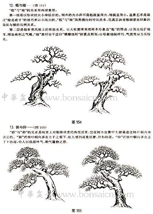 辰