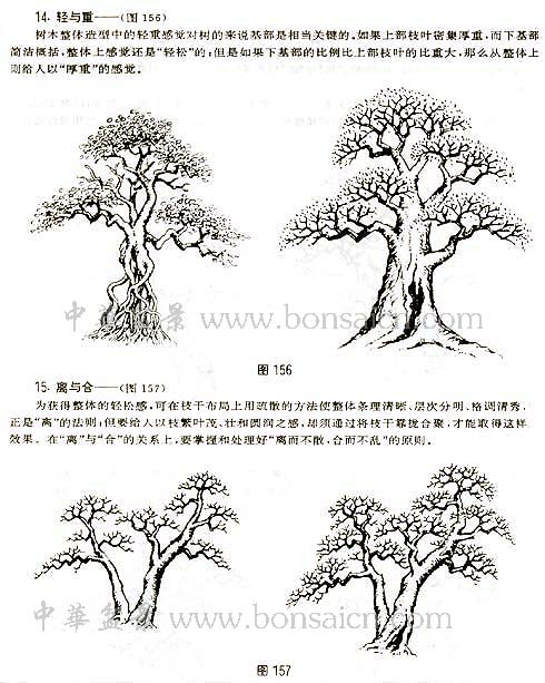 辰