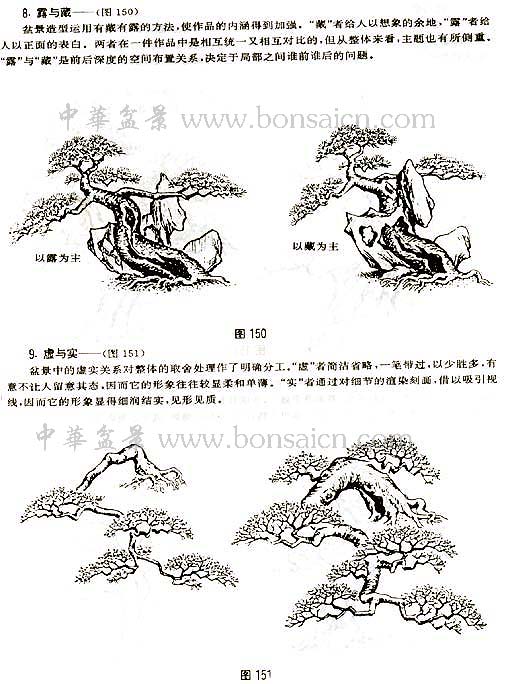 辰