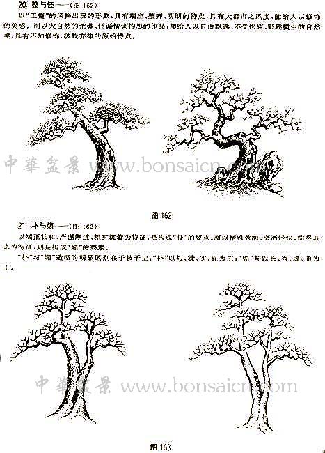 辰