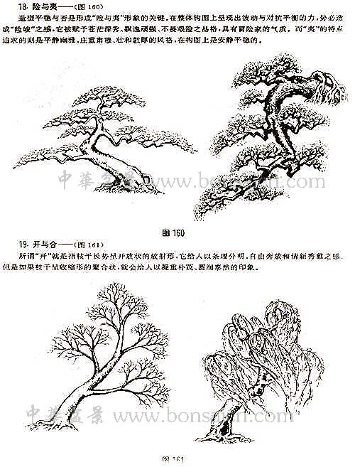 辰