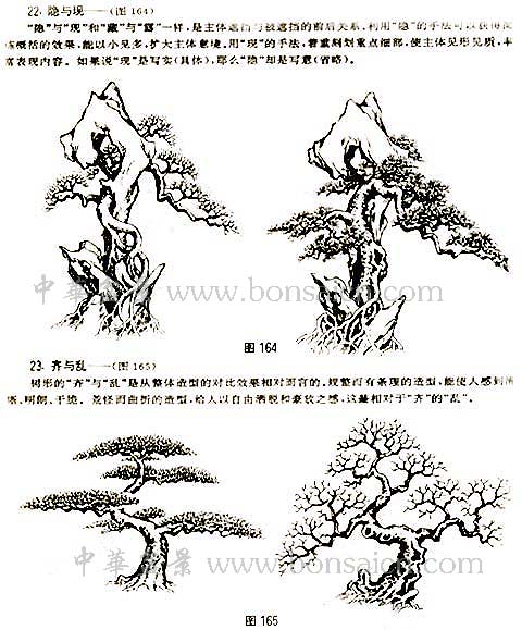 辰