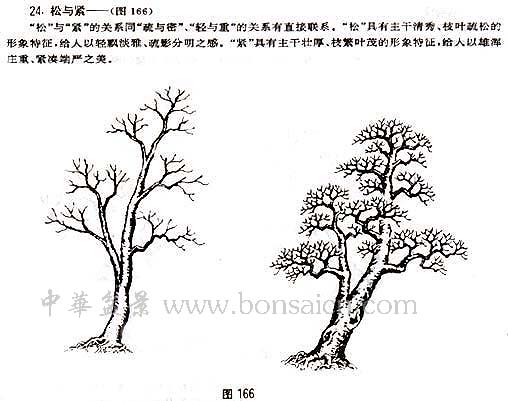 辰