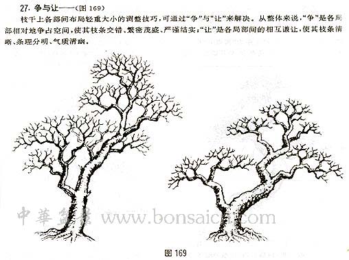 辰