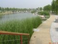 鄭州大學(xué)校園景觀(組圖)