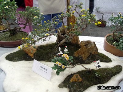 @ekڶʮŌþջչ