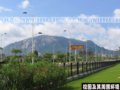 廈門(mén)大學(xué)漳州校區(qū)綠化(圖)