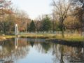 圣路易森林公園(組圖)