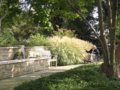 美俄亥俄州克利夫蘭市植物園(組圖)