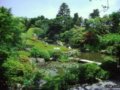 日本Taizo-in公園(組圖)