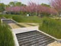 加州山景城查爾斯頓公園設計(組圖)