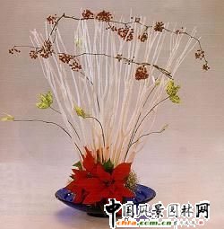 ʥQ廨p(MD)