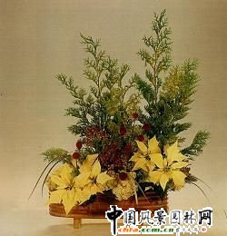 ʥQ廨p(MD)