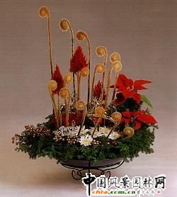 ʥQ廨p(MD)