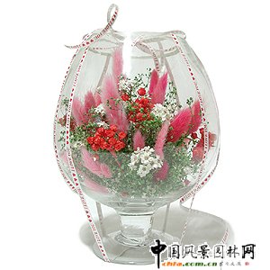 nLʥQ廨(MD)