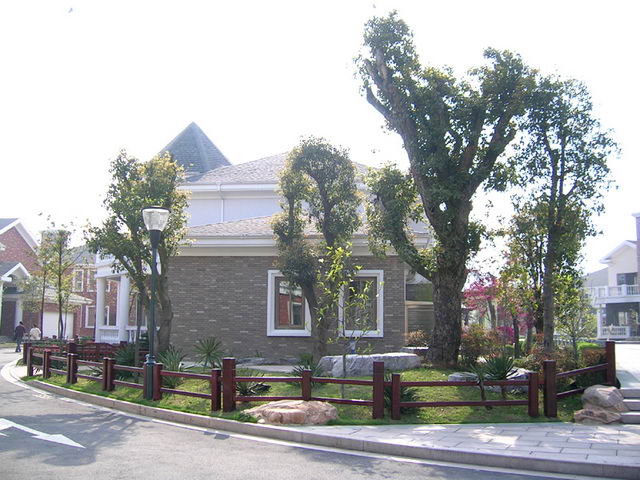 zhitianxing0812311