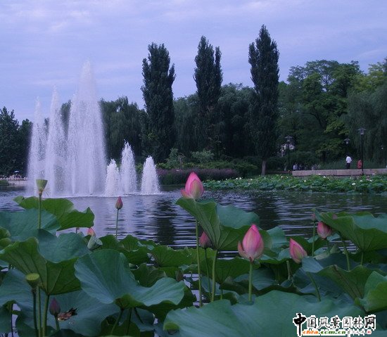 2008(hu)(yu)|(zh)֮˶@칤(MD)