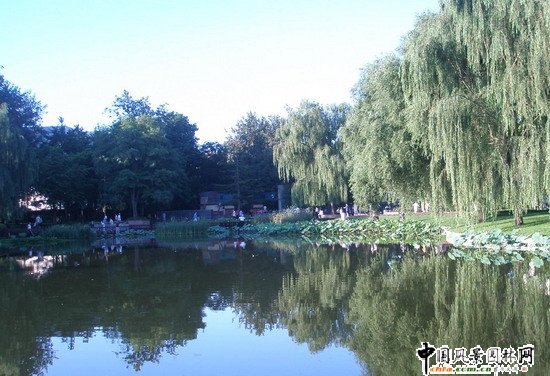 2008|֮˶@칤(MD)