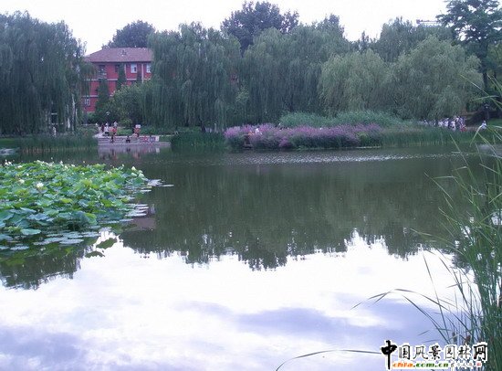 2008(yu)|(zh)֮˶@칤(MD)