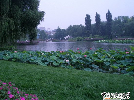 2008|֮˶@칤(MD)