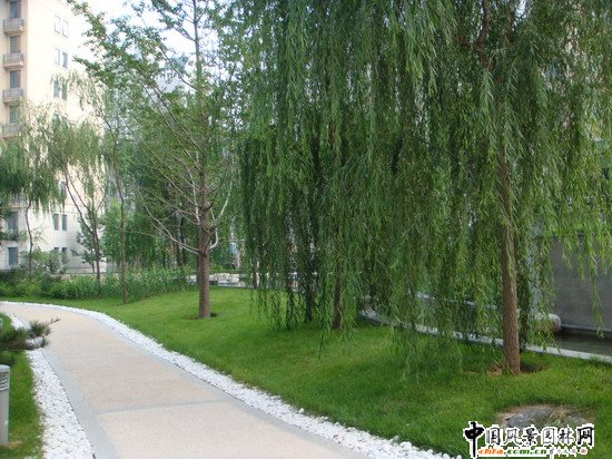 2008(yu)|֮ɇH@H^(q)@־^