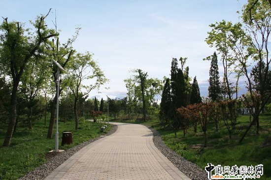 2008社會優質工程之大興區舊宮鎮旺興湖郊野公園