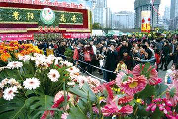 貴陽市：迎春花卉展銷會紅紅火火